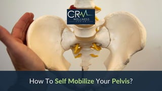 How to self mobilize your pelvis?