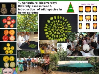 Community Biodiversity Management - Benefits of Biodiversity | PPT