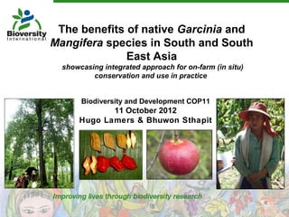 The benefits of native Garcinia and
Mangifera species in South and South
              East Asia
  showcasing integrated approach for on-farm (in situ)
          conservation and use in practice


       Biodiversity and Development COP11
             11 October 2012
      Hugo Lamers & Bhuwon Sthapit
 