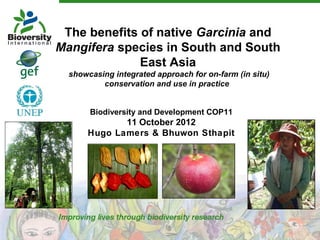 The benefits of native Garcinia and
Mangifera species in South and South
East Asia
showcasing integrated approach for on-farm (in situ)
conservation and use in practice
Biodiversity and Development COP11

11 October 2012
Hugo Lamers & Bhuwon Sthapit

 