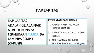 KAPILARITAS
KAPILARITAS
ADALAH GEJALA NAIK
ATAU TURUNNYA
PERMUKAAN FLUIDA DA
LAM PIPA SEMPIT
(KAPILER)
PENERAPAN KAPILARITAS
1. NAIKNYA MINYAK PADA
SUMBU KOMPOR
2. NAIKNYA AIR MELALUI AKAR
POHON
3. MERESAPNYA AIR PADA
TEMBOK SAAT MUSIM HUJAN
 
