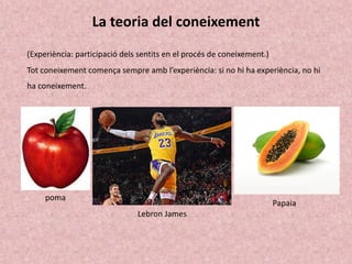 La teoria del coneixement
(Experiència: participació dels sentits en el procés de coneixement.)
Tot coneixement comença sempre amb l’experiència: si no hi ha experiència, no hi
ha coneixement.
poma
Lebron James
Papaia
 