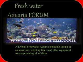All About Freshwater Aquaria including setting up
an aquarium, selecting filters and other equipment
we are providing all of them.
 