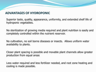 ADVANTAGES OF HYDROPONIC
Superior taste, quality, appearance, uniformity, and extended shelf life of
hydroponic vegetables.
No sterilization of growing media required and plant nutrition is easily and
completely controlled within the nutrient reservoir.
No cultivation, no soil borne diseases or insects. Allows uniform water
availability to plants.
Closer plant spacing is possible and movable plant channels allow greater
production from equal areas
Less water required and less fertilizer needed, and root zone heating and
cooling is made possible.
 