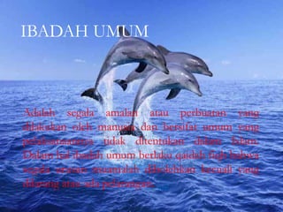 IBADAH UMUM
Adalah segala amalan atau perbuatan yang
dilakukan oleh manusia dan bersifat umum yang
pelaksanaannya tidak ditentukan dalam Islam.
Dalam hal ibadah umum berlaku qaidah fiqh bahwa
segala urusan muamalah dibolehkan kecuali yang
dilarang atau ada pelarangan.
 