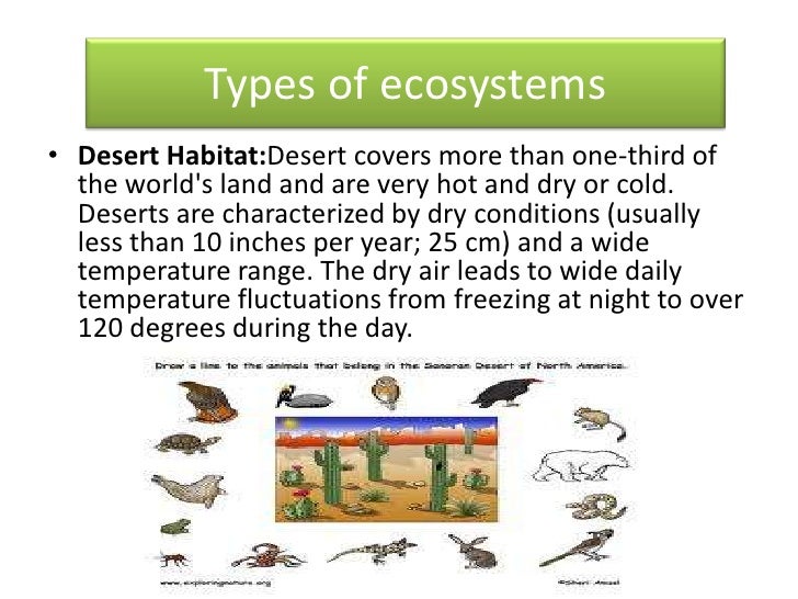 types of ecosystems