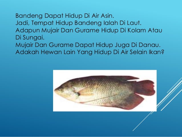 Ppt Ict Newwww