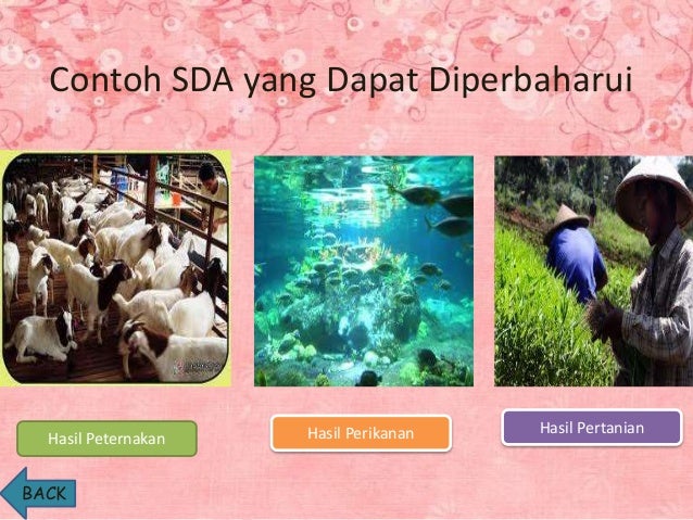 10 Contoh Sumber Daya Alam Yang Dapat Diperbaharui - Contoh Resource