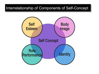 Interrelationship of Components of Self-ConceptInterrelationship of Components of Self-Concept
 