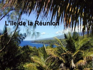 L’île de la Réunion 