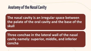 Maxilary sinusitis of odontogenic region | PDF