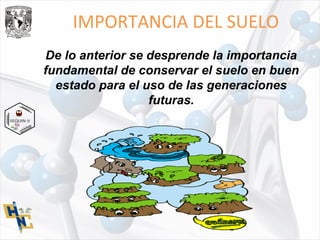 IMPORTANCIA DEL SUELO
De lo anterior se desprende la importancia
fundamental de conservar el suelo en buen
estado para el uso de las generaciones
futuras.
 