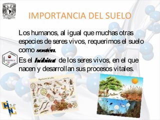 IMPORTANCIA DEL SUELO
Loshumanos, al igual quemuchasotras
especiesdeseresvivos, requerimosel suelo
como sostén.
Esel hábitat delosseresvivos, en el que
nacen y desarrollan susprocesosvitales.
 