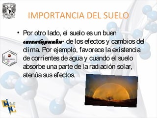 IMPORTANCIA DEL SUELO
• Por otro lado, el suelo esun buen
amortiguador delosefectosy cambiosdel
clima. Por ejemplo, favorecelaexistencia
decorrientesdeaguay cuando el suelo
absorbeunapartedelaradiación solar,
atenúasusefectos.
 