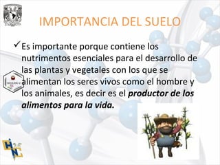 IMPORTANCIA DEL SUELO
Es importante porque contiene los
nutrimentos esenciales para el desarrollo de
las plantas y vegetales con los que se
alimentan los seres vivos como el hombre y
los animales, es decir es el productor de los
alimentos para la vida.
 