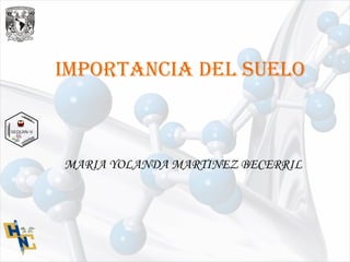 IMPORTANCIA DEL SUELO
MARIA YOLANDA MARTINEZ BECERRIL
 