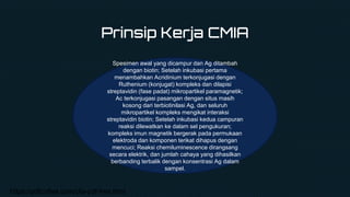 Prinsip Kerja CMIA
Spesimen awal yang dicampur dan Ag ditambah
dengan biotin; Setelah inkubasi pertama
menambahkan Acridinium terkonjugasi dengan
Ruthenium (konjugat) kompleks dan dilapisi
streptavidin (fase padat) mikropartikel paramagnetik;
Ac terkonjugasi pasangan dengan situs masih
kosong dari terbiotinilasi Ag, dan seluruh
mikropartikel kompleks mengikat interaksi
streptavidin biotin; Setelah inkubasi kedua campuran
reaksi dilewatkan ke dalam sel pengukuran;
kompleks imun magnetik bergerak pada permukaan
elektroda dan komponen terikat dihapus dengan
mencuci; Reaksi chemiluminescence dirangsang
secara elektrik, dan jumlah cahaya yang dihasilkan
berbanding terbalik dengan konsentrasi Ag dalam
sampel.
https://pdfcoffee.com/clia-pdf-free.html
 