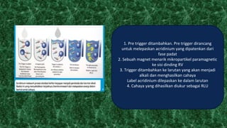 1. Pre trigger ditambahkan. Pre trigger dirancang
untuk melepaskan acridinium yang dipatenkan dari
fase padat
2. Sebuah magnet menarik mikropartikel paramagnetic
ke sisi dinding RV
3. Trigger ditambahkan ke larutan yang akan menjadi
alkali dan menghasilkan cahaya
Label acridinium dilepaskan ke dalam larutan
4. Cahaya yang dihasilkan diukur sebagai RLU
 