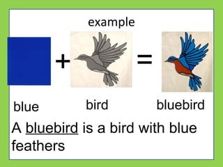 example
+ =
blue bird bluebird
A bluebird is a bird with blue
feathers