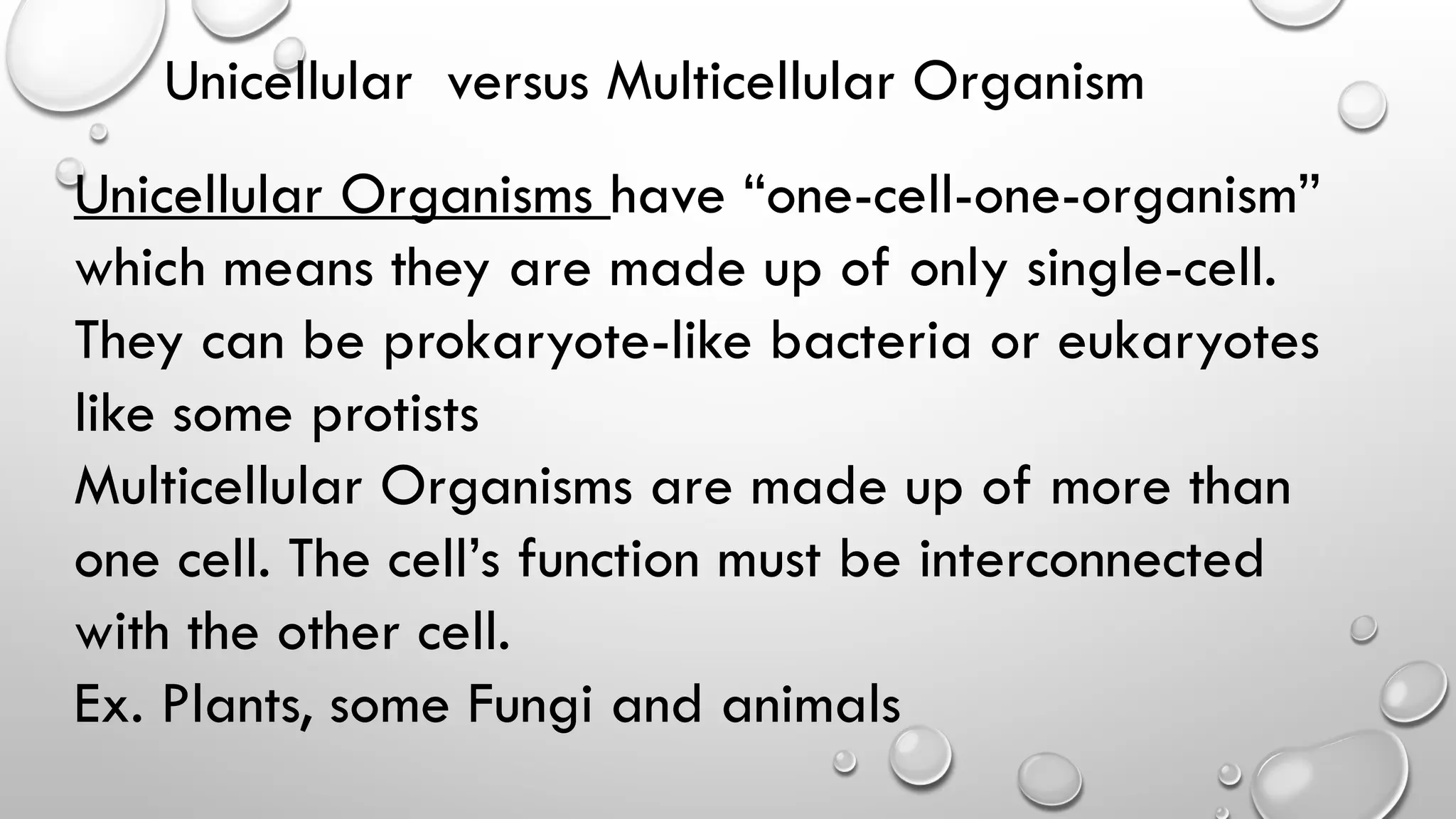 Multiseluler Uniseluler Unicellular And Multicellular Organisms Similarities