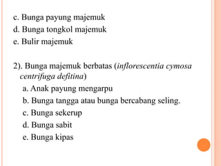 c. Bunga payung majemuk
d. Bunga tongkol majemuk
e. Bulir majemuk
2). Bunga majemuk berbatas (inflorescentia cymosa
centrifuga defitina)
a. Anak payung mengarpu
b. Bunga tangga atau bunga bercabang seling.
c. Bunga sekerup
d. Bunga sabit
e. Bunga kipas
 