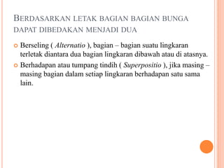BERDASARKAN LETAK BAGIAN BAGIAN BUNGA
DAPAT DIBEDAKAN MENJADI DUA
 Berseling ( Alternatio ), bagian – bagian suatu lingkaran
terletak diantara dua bagian lingkaran dibawah atau di atasnya.
 Berhadapan atau tumpang tindih ( Superpositio ), jika masing –
masing bagian dalam setiap lingkaran berhadapan satu sama
lain.
 