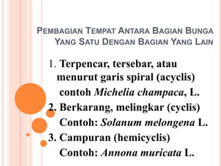 PEMBAGIAN TEMPAT ANTARA BAGIAN BUNGA
YANG SATU DENGAN BAGIAN YANG LAIN
1. Terpencar, tersebar, atau
menurut garis spiral (acyclis)
contoh Michelia champaca, L.
2. Berkarang, melingkar (cyclis)
Contoh: Solanum melongena L.
3. Campuran (hemicyclis)
Contoh: Annona muricata L.
 