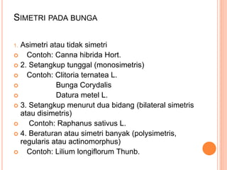 SIMETRI PADA BUNGA
1. Asimetri atau tidak simetri
 Contoh: Canna hibrida Hort.
 2. Setangkup tunggal (monosimetris)
 Contoh: Clitoria ternatea L.
 Bunga Corydalis
 Datura metel L.
 3. Setangkup menurut dua bidang (bilateral simetris
atau disimetris)
 Contoh: Raphanus sativus L.
 4. Beraturan atau simetri banyak (polysimetris,
regularis atau actinomorphus)
 Contoh: Lilium longiflorum Thunb.
 