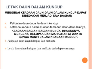 LETAK DAUN DALAM KUNCUP
MENGENAI KEADAAN DAUN-DAUN DALAM KUNCUP DAPAT
DIBEDAKAN MENJADI DUA BAGIAN:
A. Pelipatan daun-daun itu dalam kuncup
B. Letak daun-daun dalam kuncup terhadap daun-daun lainnya.
KEADAAN BAGIAN-BAGIAN BUNGA, KHUSUSNYA
MENGENAI KELOPAK DAN MAHKOTANYA WAKTU
BUNGA MASIH DALAM KEADAAN KUNCUP.
 Pelipatan daun-daun kelopak dan mahkota
 Letak daun-daun kelopak dan mahkota terhadap sesamanya
 
