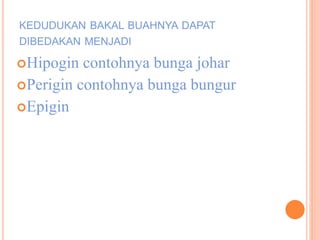 KEDUDUKAN BAKAL BUAHNYA DAPAT
DIBEDAKAN MENJADI
Hipogin contohnya bunga johar
Perigin contohnya bunga bungur
Epigin
 