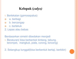 Kelopak (calyx)
1. Berlekatan (gamosepalus)
 a. berbagi
 b. bercangap
 c. berlekuk
2. Lepas atau bebas
Berdasarkan simetri dibedakan menjadi
1. Beraturan( bisa berbentuk bintang, tabung,
terompet, mangkuk, piala, corong, lonceng)
2. Setangkup tunggal(bisa berbentuk bertaji, berbibir)
 