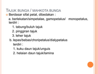 TAJUK BUNGA / MAHKOTA BUNGA
 Berdasar sifat petal, dibedakan :
a. berlekatan/simpetalae, gamopetalus/ monopetalus,
terdiri :
1. tabung/buluh tajuk
2. pinggiran tajuk
3. leher tajuk
b. lepas/bebas/choripetalus/dialypetalus
terdiri :
1. kuku daun tajuk/unguis
2. helaian daun tajuk/lamina
 
