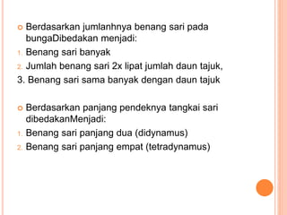  Berdasarkan jumlanhnya benang sari pada
bungaDibedakan menjadi:
1. Benang sari banyak
2. Jumlah benang sari 2x lipat jumlah daun tajuk,
3. Benang sari sama banyak dengan daun tajuk
 Berdasarkan panjang pendeknya tangkai sari
dibedakanMenjadi:
1. Benang sari panjang dua (didynamus)
2. Benang sari panjang empat (tetradynamus)
 