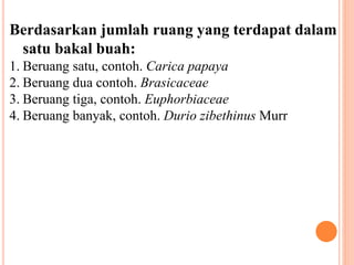 Berdasarkan jumlah ruang yang terdapat dalam
satu bakal buah:
1. Beruang satu, contoh. Carica papaya
2. Beruang dua contoh. Brasicaceae
3. Beruang tiga, contoh. Euphorbiaceae
4. Beruang banyak, contoh. Durio zibethinus Murr
 