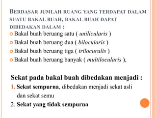 BERDASAR JUMLAH RUANG YANG TERDAPAT DALAM
SUATU BAKAL BUAH, BAKAL BUAH DAPAT
DIBEDAKAN DALAM :
 Bakal buah beruang satu ( unilicularis )
 Bakal buah beruang dua ( bilocularis )
 Bakal buah beruang tiga ( trilocuralis )
 Bakal buah beruang banyak ( multilocularis ),
Sekat pada bakal buah dibedakan menjadi :
1. Sekat sempurna, dibedakan menjadi sekat asli
dan sekat semu
2. Sekat yang tidak sempurna
 