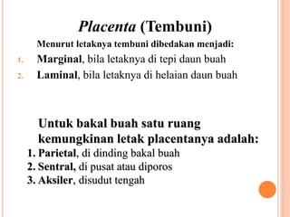 Placenta (Tembuni)
Menurut letaknya tembuni dibedakan menjadi:
1. Marginal, bila letaknya di tepi daun buah
2. Laminal, bila letaknya di helaian daun buah
Untuk bakal buah satu ruang
kemungkinan letak placentanya adalah:
1. Parietal, di dinding bakal buah
2. Sentral, di pusat atau diporos
3. Aksiler, disudut tengah
 