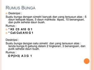 RUMUS BUNGA
 Deskripsi :
Suatu bunga dengan simetri banyak dan yang tersusun atas : 5
daun kelopak lepas, 5 daun mahkota lepas, 10 benangsari,
dan putik sehelai daun buah.
Rumus :
 * K5 C5 A10 G 1
 * Ca5 Co5 A10 G 1
Deskripsi :
Suatu bunga dengan satu simetri dan yang tersusun atas :
tenda bunga 6 gabung dalam 2 lingkaran, 3 benangsari, dan
putik sehelai daun buah.
Rumus :
O P(3+3) A 3 G 1
 
