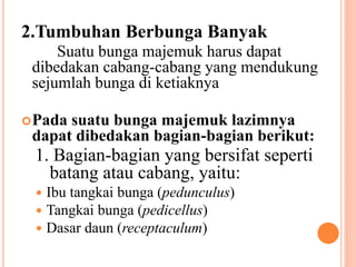 2.Tumbuhan Berbunga Banyak
Suatu bunga majemuk harus dapat
dibedakan cabang-cabang yang mendukung
sejumlah bunga di ketiaknya
Pada suatu bunga majemuk lazimnya
dapat dibedakan bagian-bagian berikut:
1. Bagian-bagian yang bersifat seperti
batang atau cabang, yaitu:
 Ibu tangkai bunga (pedunculus)
 Tangkai bunga (pedicellus)
 Dasar daun (receptaculum)
 