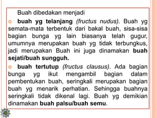 Buah dibedakan menjadi
 buah yg telanjang (fructus nudus). Buah yg
semata-mata terbentuk dari bakal buah, sisa-sisa
bagian bunga yg lain biasanya telah gugur,
umumnya merupakan buah yg tidak terbungkus,
jadi merupakan Buah ini juga dinamakan buah
sejati/buah sungguh.
 buah tertutup (fructus clausus). Ada bagian
bunga yg ikut mengambil bagian dalam
pembentukan buah, seringkali merupakan bagian
buah yg menarik perhatian. Sehingga buahnya
seringkali tidak dikenal lagi. Buah yg demikian
dinamakan buah palsu/buah semu.
 