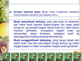  IKTISAR TENTANG BUAH. BUAH PADA TUMBUHAN UMUMNYA
DIGOLONGKAN DALAM 2 GOLONGAN YAITU :
1. Buah semu/buah tertutup, yaitu jika buah itu terbentuk
dari bakal buah beserta bagian-bagian lain pada bakal
bunga itu, yg menjadi bagian utama buah ini ( lebih besar,
menarik perhatian, merupakan bagian buah yg
bermanfaat, dapat dimakan), sedagkan buah yg
sesungguhnya kadang-kadang tersembunyi.
2. Buah sungguh/buah telanjang, yang hanya terjadi dari
bakal buah, dan jika ada bagian bunga lainnya yg masin
tinggal bagian ini tidak merupakan bagian buah yg berarti.
 