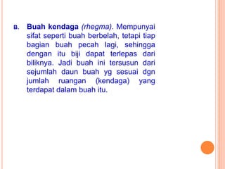 B. Buah kendaga (rhegma). Mempunyai
sifat seperti buah berbelah, tetapi tiap
bagian buah pecah lagi, sehingga
dengan itu biji dapat terlepas dari
biliknya. Jadi buah ini tersusun dari
sejumlah daun buah yg sesuai dgn
jumlah ruangan (kendaga) yang
terdapat dalam buah itu.
 