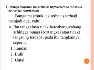 1). Bunga majemuk tak terbatas (inflorescentia racemusa
botryoides centripetala)
Bunga majemuk tak terbatas terbagi
menjadi dua, yaitu:
a. Ibu tangkainya tidak bercabang-cabang
sehingga bunga (bertangkai atau tidak)
langsung terdapat pada ibu tangkainya,
seperti:
1. Tandan
2. Bulir
3. Untai
 