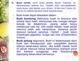 C. BUAH KOTAK, YAITU BUAH KERING SEJATI TUNGGAL YG
MENGANDUNG BANYAK BIJI, TERDIRI ATAS SATU/BEBERAPA
DAUN BUAH, JIKA MASAK LALU PECAH, TETAPI KULIT BUAH YG
PECAH ITU SAMPAI MELEKAT PADA TANGKAI BUAH.
 Buah kotak dapat dibedakan dalam :
1. Buah bumbung (folliculus), buah ini tersusun atas
sehelai daun buah, mempunyai satu ruangan dengan
banyak biji didalamnya. Jarang sekali hanya
mempunyai satu biji. Jika sudah masak, buah pecah
menurut salah satu kampuhnya, biasanya pecah
menurut kampuh perutnya. Contoh : buah biduri
(Calottropis gigantea), bunga sari cina (Chataranthus
roseus).
2. Buah polong (legumen). Buah ini terbentukdari daun
buah dan memepunyai satu ruang/lebih (karena
adanya sekat-sekat semu). Jika sudah masak, buah
ini pecah menurut kedua kampuhnya (kampuh perut
dan kampuh punggung), atau terputus-putus
sepanjang sekat-sekat semuanya.
 