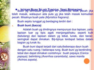  IKTISAR BUAH SEJATI TUNGGAL YANG BERDAGING
Buah yg termasuk golongan ini umumnya tidak pecah jika
telah masak, walaupun ada pula yg jika telah masak kemudian
pecah. Misalnya buah pala (Myristica fragrans).
Buah sejatu tunggal yg berdaging terdiri dari :
a. Buah buni (bacca).
Adalah buah yg dindingnya mempunyai dua lapisan, yaitu
lapisan luar yg tipis agak menjangat/kaku seperti kulit
(belulang) dan lapisan dalam yg tebal, lunak, dan berair,
seringkali dapat dimakan. Biji-bjinya terdapat bebas dalam
bagian yg lunak itu.
Buah buni dapat terjadi dari satu/beberapa daun buah
dengan satu ruang / beberapa rung. Buah buni yg berdinding
tebal dan dapat dimakan contohnya : buah pepaya (Carica
papaya), belimbing (Averrhoa carambola), sawo manila
(Achras zapota).
 