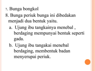 7. Bunga bongkol
8. Bunga periuk bunga ini dibedakan
menjadi dua bentuk yaitu.
a. Ujung ibu tangkainya menebal ,
berdaging mempunyai bentuk seperti
gada.
b. Ujung ibu tangakai menebal
berdaging, membentuk badan
menyerupai periuk.
 