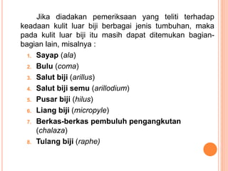 Jika diadakan pemeriksaan yang teliti terhadap
keadaan kulit luar biji berbagai jenis tumbuhan, maka
pada kulit luar biji itu masih dapat ditemukan bagian-
bagian lain, misalnya :
1. Sayap (ala)
2. Bulu (coma)
3. Salut biji (arillus)
4. Salut biji semu (arillodium)
5. Pusar biji (hilus)
6. Liang biji (micropyle)
7. Berkas-berkas pembuluh pengangkutan
(chalaza)
8. Tulang biji (raphe)
 
