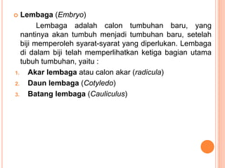  Lembaga (Embryo)
Lembaga adalah calon tumbuhan baru, yang
nantinya akan tumbuh menjadi tumbuhan baru, setelah
biji memperoleh syarat-syarat yang diperlukan. Lembaga
di dalam biji telah memperlihatkan ketiga bagian utama
tubuh tumbuhan, yaitu :
1. Akar lembaga atau calon akar (radicula)
2. Daun lembaga (Cotyledo)
3. Batang lembaga (Cauliculus)
 
