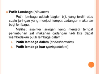  Putih Lembaga (Albumen)
Putih lembaga adalah bagian biji, yang terdiri atas
suatu jaringan yang menjadi tempat cadangan makanan
bagi lembaga.
Melihat asalnya jaringan yang menjadi tempat
penimbunan zat makanan cadangan tadi kita dapat
membedakan putih lembaga dalam :
1. Putih lembaga dalam (endospermium)
2. Putih lembaga luar (perispermium)
 