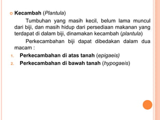  Kecambah (Plantula)
Tumbuhan yang masih kecil, belum lama muncul
dari biji, dan masih hidup dari persediaan makanan yang
terdapat di dalam biji, dinamakan kecambah (plantula)
Perkecambahan biji dapat dibedakan dalam dua
macam :
1. Perkecambahan di atas tanah (epigaeis)
2. Perkecambahan di bawah tanah (hypogaeis)
 