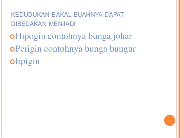 Morfologi Bunga Biji Buah
